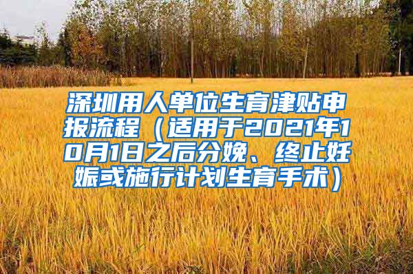 深圳用人单位生育津贴申报流程（适用于2021年10月1日之后分娩、终止妊娠或施行计划生育手术）