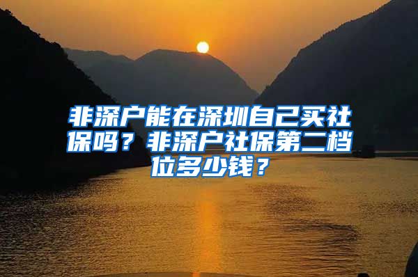 非深户能在深圳自己买社保吗？非深户社保第二档位多少钱？