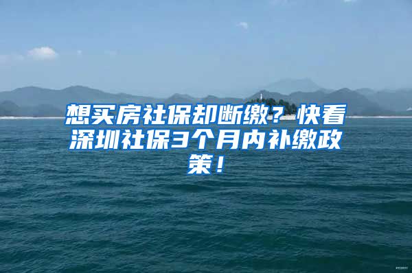 想买房社保却断缴？快看深圳社保3个月内补缴政策！