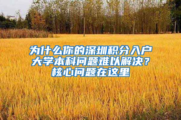 为什么你的深圳积分入户大学本科问题难以解决？核心问题在这里