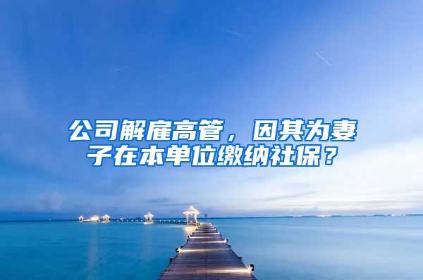 公司解雇高管，因其为妻子在本单位缴纳社保？