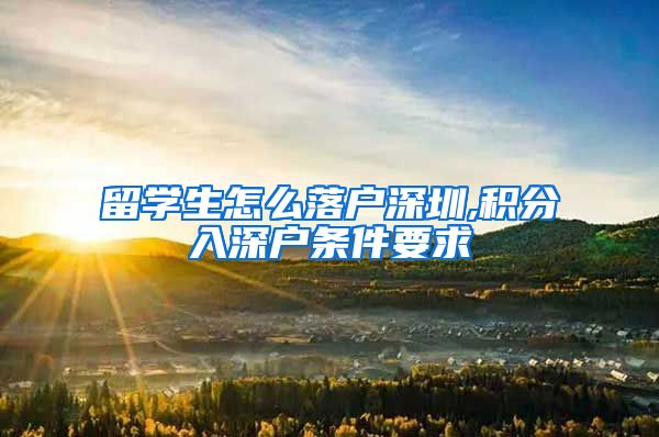 留学生怎么落户深圳,积分入深户条件要求