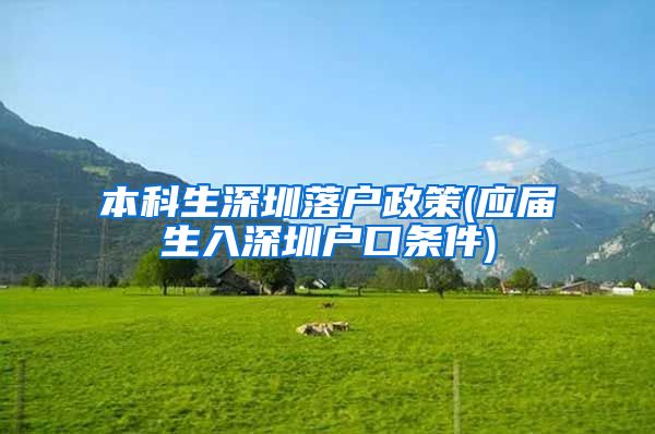 本科生深圳落户政策(应届生入深圳户口条件)