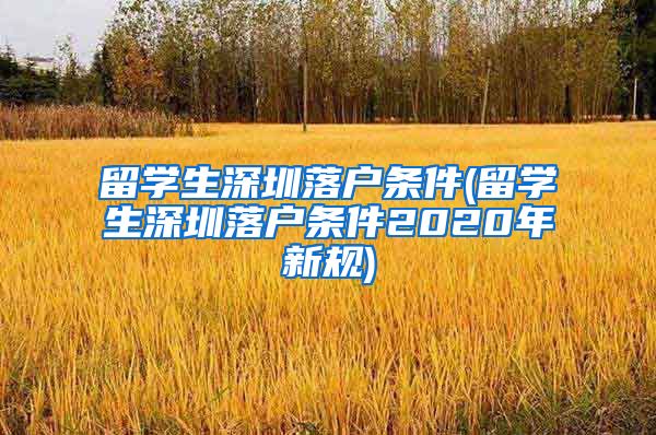 留学生深圳落户条件(留学生深圳落户条件2020年新规)