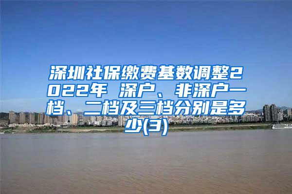 深圳社保缴费基数调整2022年 深户、非深户一档、二档及三档分别是多少(3)