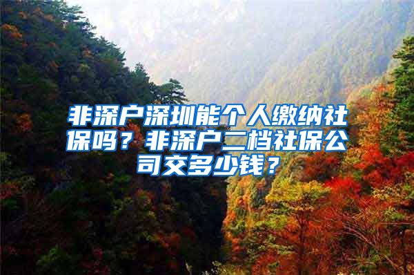 非深户深圳能个人缴纳社保吗？非深户二档社保公司交多少钱？