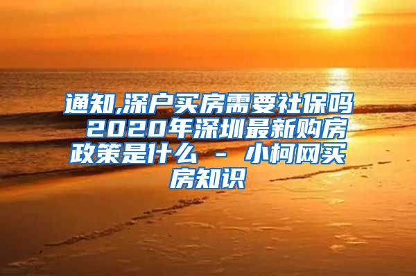 通知,深户买房需要社保吗 2020年深圳最新购房政策是什么 - 小柯网买房知识