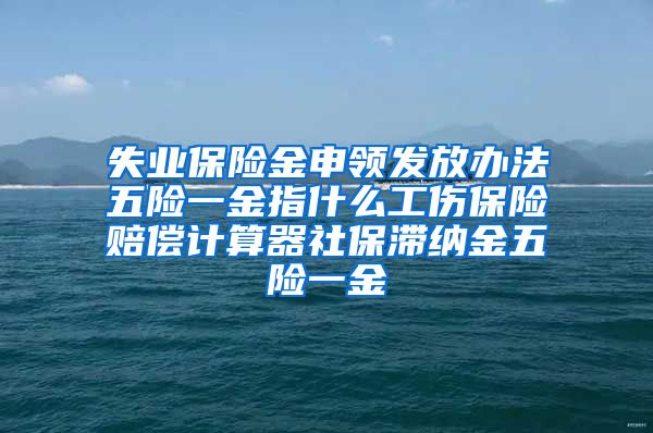 失业保险金申领发放办法五险一金指什么工伤保险赔偿计算器社保滞纳金五险一金