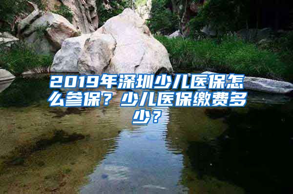 2019年深圳少儿医保怎么参保？少儿医保缴费多少？