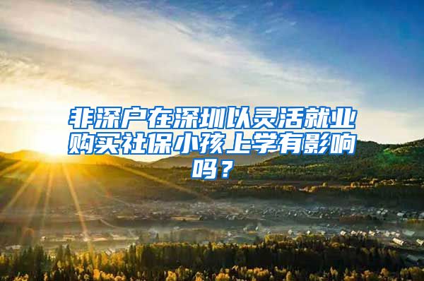 非深户在深圳以灵活就业购买社保小孩上学有影响吗？