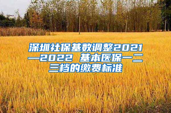 深圳社保基数调整2021—2022 基本医保一二三档的缴费标准