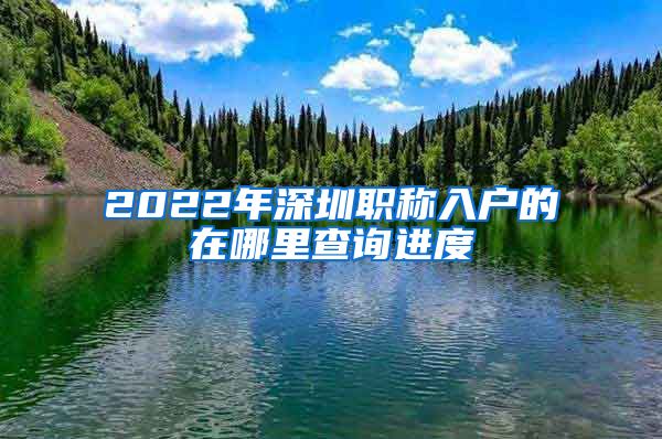 2022年深圳职称入户的在哪里查询进度