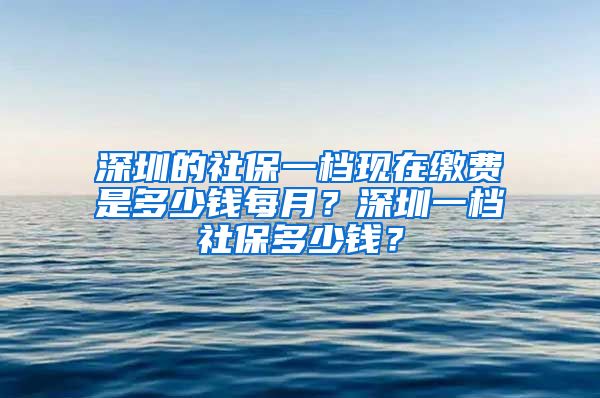 深圳的社保一档现在缴费是多少钱每月？深圳一档社保多少钱？