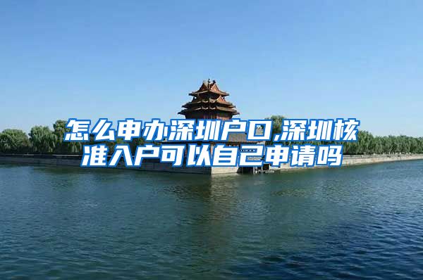 怎么申办深圳户口,深圳核准入户可以自己申请吗