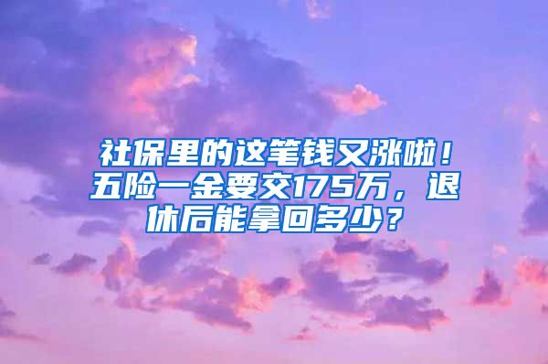 社保里的这笔钱又涨啦！五险一金要交175万，退休后能拿回多少？