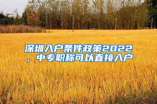 深圳入户条件政策2022，中专职称可以直接入户