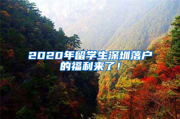 2020年留学生深圳落户的福利来了！