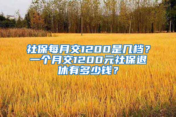 社保每月交1200是几档？一个月交1200元社保退休有多少钱？