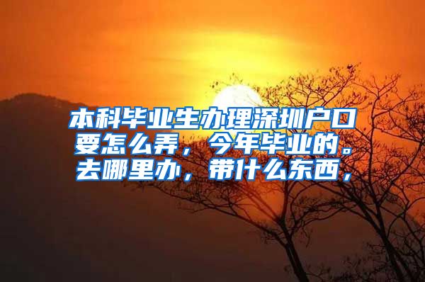 本科毕业生办理深圳户口要怎么弄，今年毕业的。去哪里办，带什么东西，