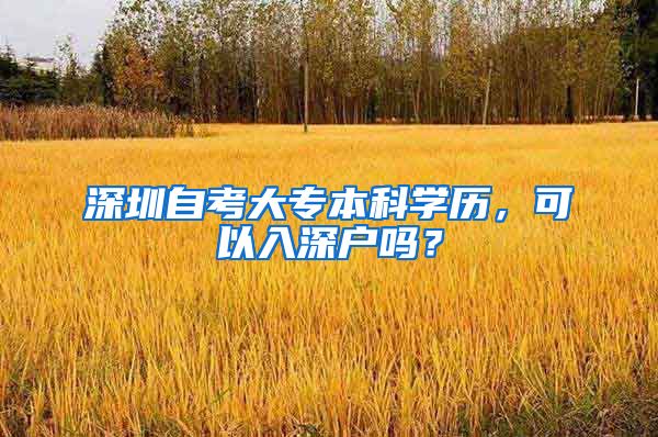 深圳自考大专本科学历，可以入深户吗？