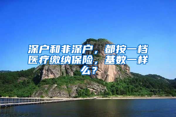 深户和非深户，都按一档医疗缴纳保险，基数一样么？