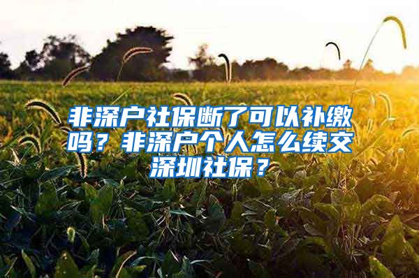 非深户社保断了可以补缴吗？非深户个人怎么续交深圳社保？