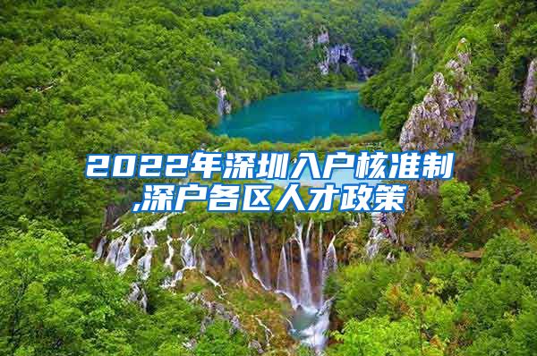 2022年深圳入户核准制,深户各区人才政策