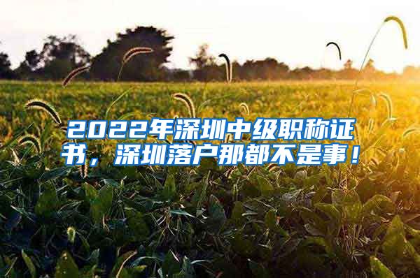 2022年深圳中级职称证书，深圳落户那都不是事！