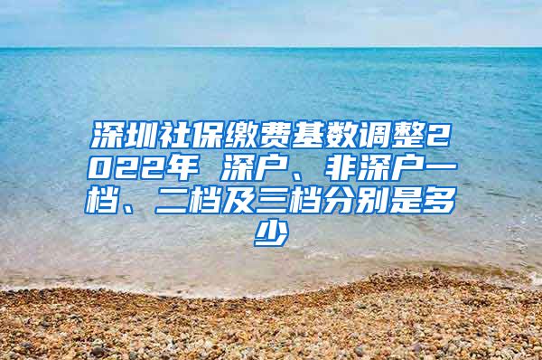 深圳社保缴费基数调整2022年 深户、非深户一档、二档及三档分别是多少