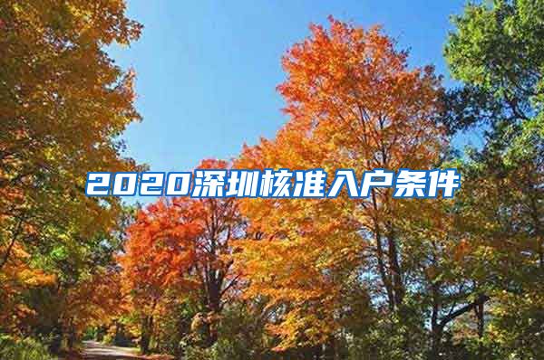 2020深圳核准入户条件