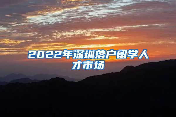 2022年深圳落户留学人才市场