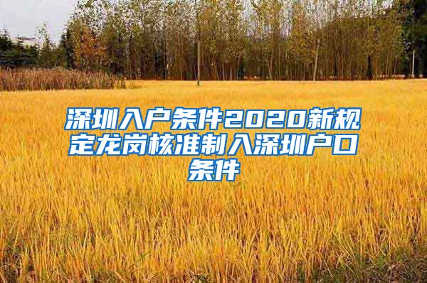 深圳入户条件2020新规定龙岗核准制入深圳户口条件