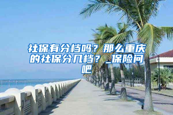 社保有分档吗？那么重庆的社保分几档？_保险问吧