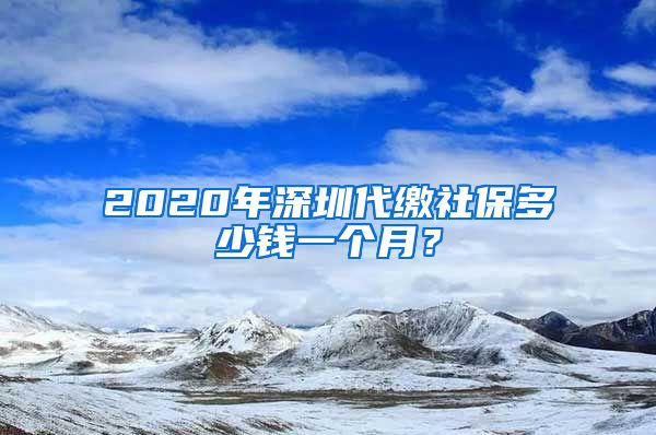 2020年深圳代缴社保多少钱一个月？