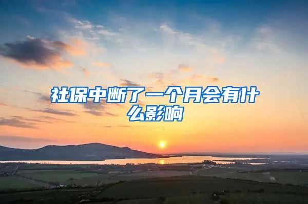 社保中断了一个月会有什么影响