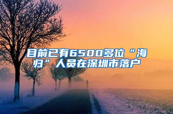 目前已有6500多位“海归”人员在深圳市落户