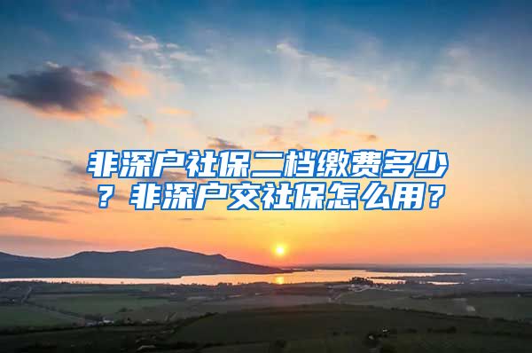 非深户社保二档缴费多少？非深户交社保怎么用？