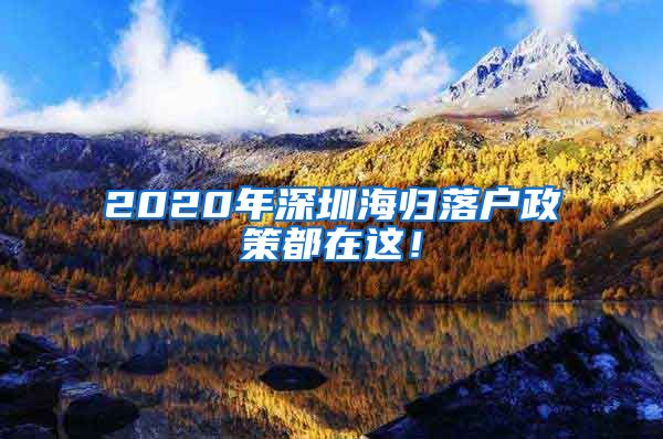 2020年深圳海归落户政策都在这！