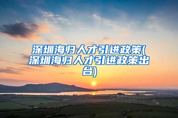 深圳海归人才引进政策(深圳海归人才引进政策出台)