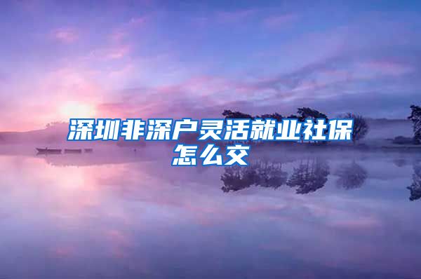 深圳非深户灵活就业社保怎么交