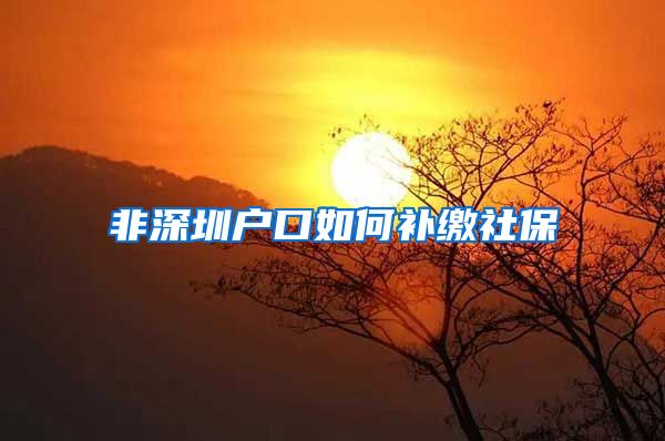 非深圳户口如何补缴社保