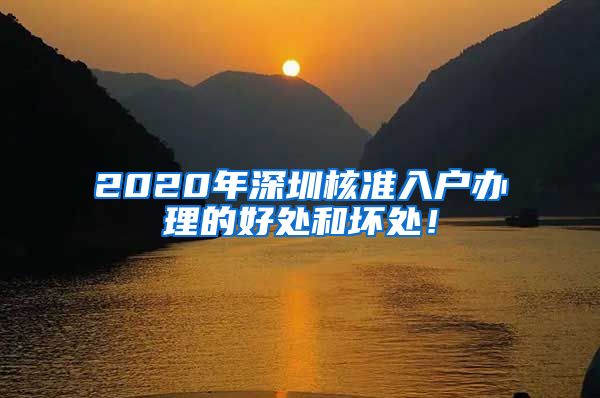 2020年深圳核准入户办理的好处和坏处！