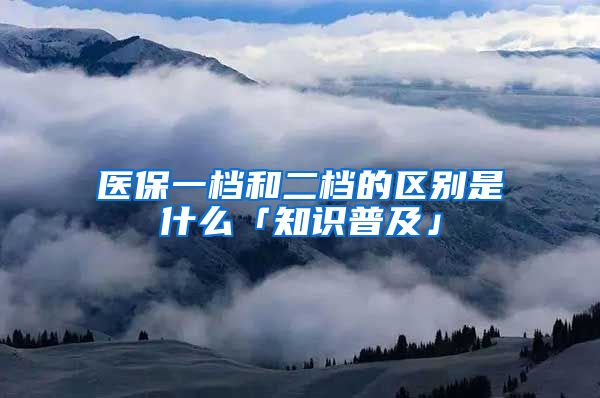 医保一档和二档的区别是什么「知识普及」