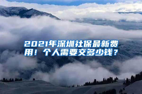 2021年深圳社保最新费用！个人需要交多少钱？