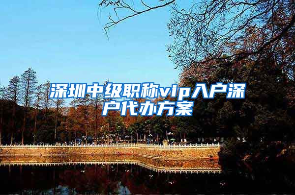 深圳中级职称vip入户深户代办方案