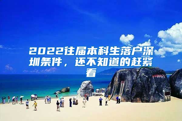 2022往届本科生落户深圳条件，还不知道的赶紧看