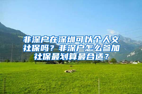 非深户在深圳可以个人交社保吗？非深户怎么参加社保最划算最合适？