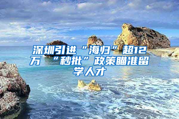 深圳引进“海归”超12万 “秒批”政策瞄准留学人才