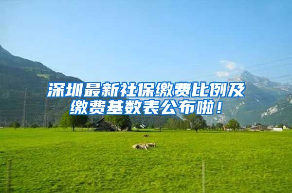 深圳最新社保缴费比例及缴费基数表公布啦！