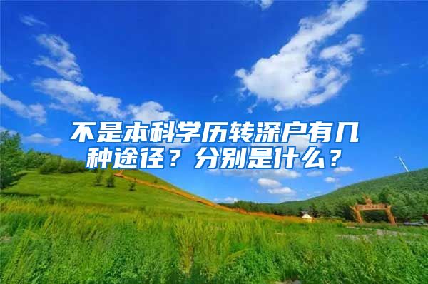 不是本科学历转深户有几种途径？分别是什么？